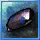 Thick Insect Shell